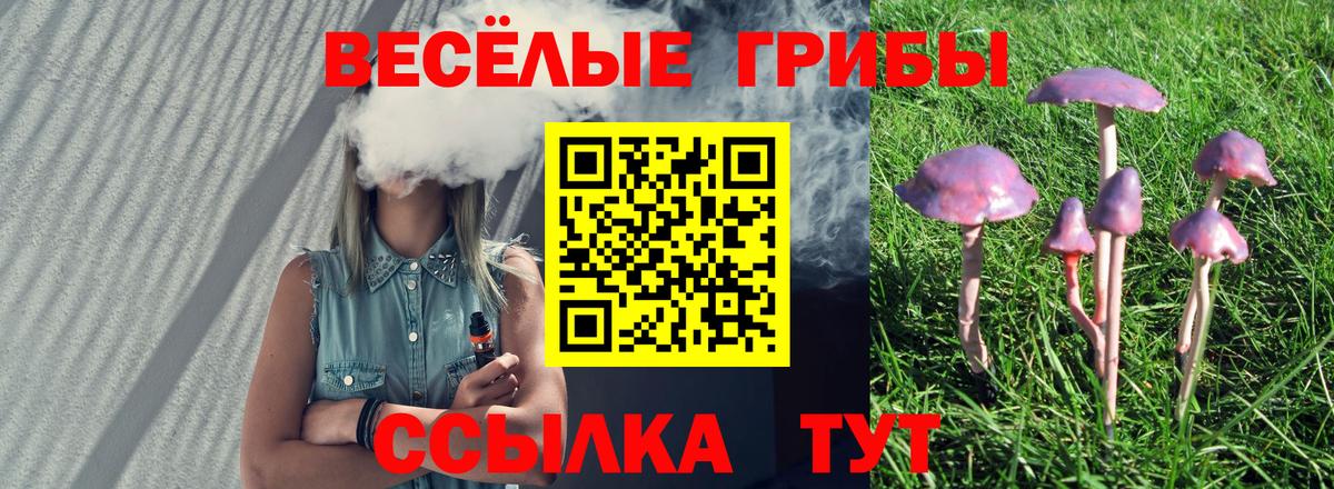 Псилоцибиновые грибы прущие грибы Нижнеудинск