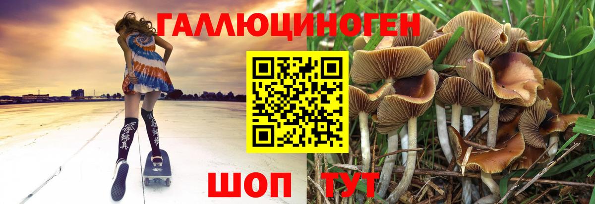 Нижнеудинск  Псилоцибиновые грибы мухоморы  Вход с VPN  Галлюциногенные грибы Magic Shrooms 