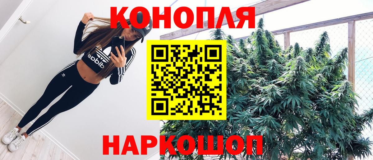 Шишки марихуана тримм Нижнеудинск
